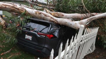 Las impactantes imágenes del paso de la tormenta tropical Hilary por México y California