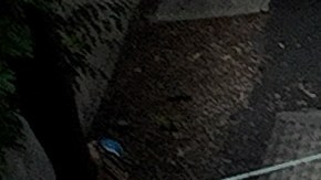 SIERRA MADRE, CALIFORNIA - AUGUST 21: In an aerial view, utility workers repair an electrical line that was damaged by a falling tree during tropical storm Hilary on August 21, 2023 in Sierra Madre, California. Much of Southern California and parts of Arizona and Nevada are cleaning up after being impacted by the tropical storm that brought several inches of rain that flooded roadways and winds that toppled trees and power lines across the region. (Photo by Justin Sullivan/Getty Images)