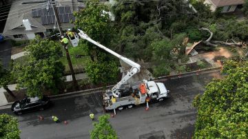SIERRA MADRE, CALIFORNIA - AUGUST 21: In an aerial view, utility workers repair an electrical line that was damaged by a falling tree during tropical storm Hilary on August 21, 2023 in Sierra Madre, California. Much of Southern California and parts of Arizona and Nevada are cleaning up after being impacted by the tropical storm that brought several inches of rain that flooded roadways and winds that toppled trees and power lines across the region. (Photo by Justin Sullivan/Getty Images)