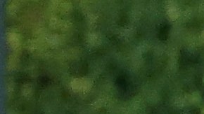 Fan tras invadir campo y derribar a Ronald Acuña Jr.