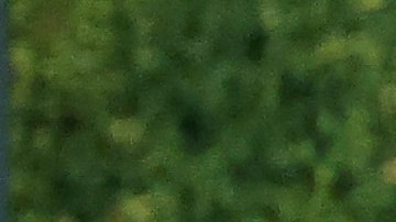 Fan tras invadir campo y derribar a Ronald Acuña Jr.