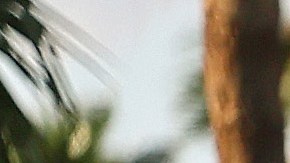 CATHEDRAL CITY, CALIFORNIA - AUGUST 21: A person walks on a flooded street on August 21, 2023 in Cathedral City, California. Much of Southern California and parts of Arizona and Nevada are cleaning up after being impacted by Tropical Storm Hilary that brought several inches of rain that flooded roadways and winds that toppled trees and power lines across the region. (Photo by Mario Tama/Getty Images)