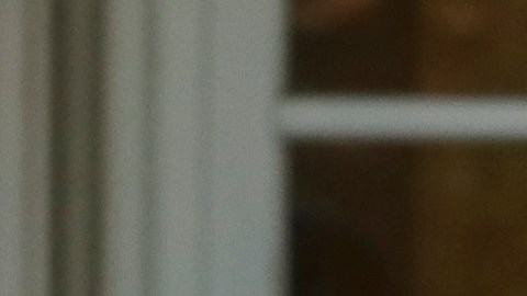Luis Rubiales (de frente) habla con el presidente del gobierno de España en funciones Pedro Sánchez con el cuerpo técnico y las jugadoras de la selección detrás.