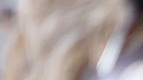 Sergio 'Checo' Pérez, piloto mexicano de Red Bull Racing.