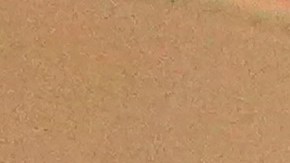 Irak analiza condenas de cadena perpetua hasta pena de muerte para castigar relaciones homosexuales