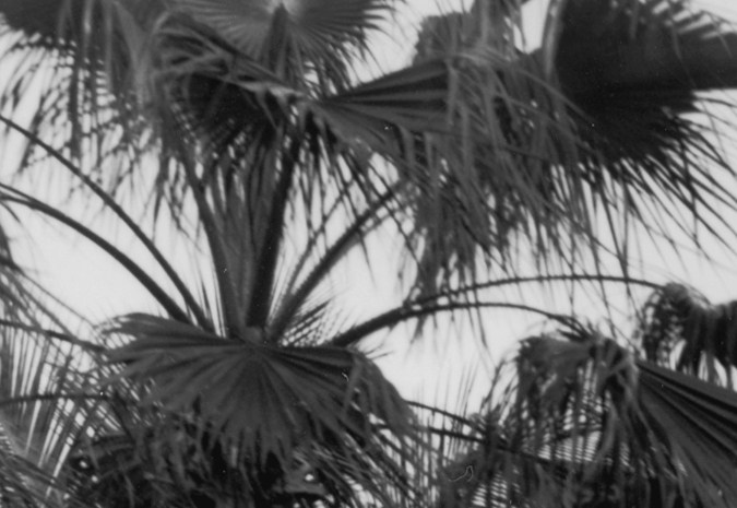 Demuelen la casa donde vivió y murió Al Capone; auge inmobiliario de Miami acaba con la mítica mansión