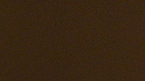 Oscar Pistorius lleva 10 años en la cárcel por homicidio culpable.