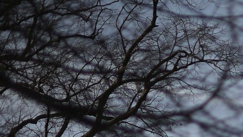 La Casa Blanca reacciona en forma negativa a baja calificación de Fitch Ratings a EE.UU.