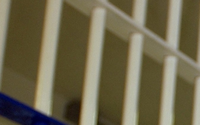 Los presos son discriminados y denunciados para ser deportados en las prisiones de California.