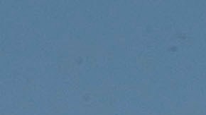 11 heridos tras severas turbulencias en un vuelo de Delta hacia Atlanta