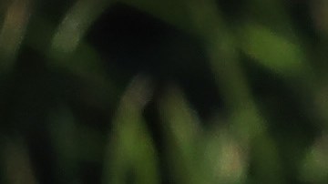 Luis Pedro Montepeque fue una de las víctimas en el suceso.