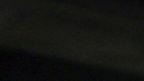 Arrestan a un mujer de Carolina del Norte por fingir su propio asesinato