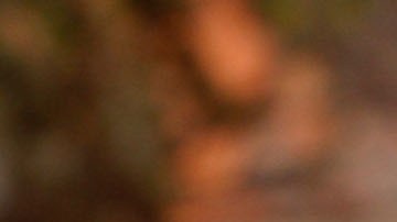 En alerta más de 103 millones de personas de 15 estados por climas extremos y temperaturas de 120 grados