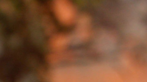 En alerta más de 103 millones de personas de 15 estados por climas extremos y temperaturas de 120 grados