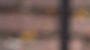 Mueren 26 caballos en incendio de un granero en Georgia