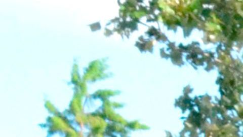 Aficionados de México y Ghana.