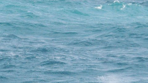 Guardia Costera de EE.UU. rescata a joven en embarcación a punto de hundirse en el océano Atlántico