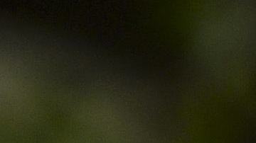 MEXICO-LAW-ARMY-POLICE