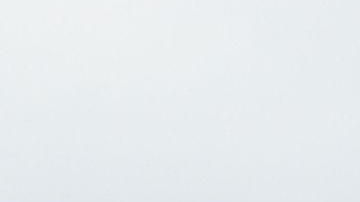 Cuatro perros grandes atacaron y mataron a un hombre de 70 años en Hawái