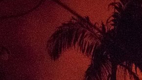 Voraz serie de incendios forestales en Hawaii deja 36 muertos, daños en infraestructura y decenas de evacuados