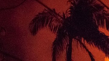 Voraz serie de incendios forestales en Hawaii deja 36 muertos, daños en infraestructura y decenas de evacuados