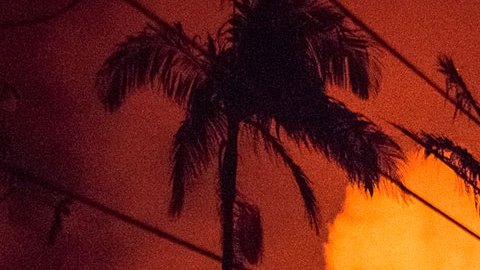 Voraz serie de incendios forestales en Hawaii deja 36 muertos, daños en infraestructura y decenas de evacuados