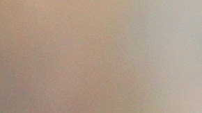 Carlos Vela y Javier 'Chicharito' Hernández.