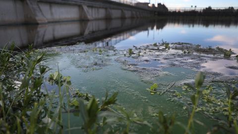 Hallan cerca de 30 vehículos sumergidos en un lago de Miami que podrían estar relacionados con crímenes sin resolver