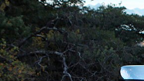 Violencia en México