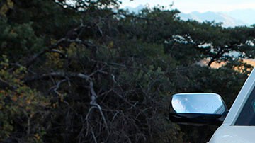 Violencia en México