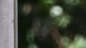 Hunter Biden trató de firmar un acuerdo para no terminar en prisión.