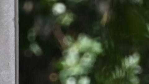 Hunter Biden trató de firmar un acuerdo para no terminar en prisión.