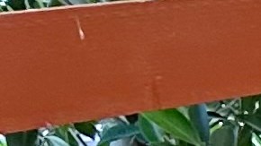 Arturo Aguilar, propietario de El Valle Oaxaqueño dice que  los restaurantes en Los Ángeles no han batallado por la falta de personal sino por las bajas ventas.(Araceli Martínez/La Opinión)