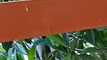 Arturo Aguilar, propietario de El Valle Oaxaqueño dice que  los restaurantes en Los Ángeles no han batallado por la falta de personal sino por las bajas ventas.(Araceli Martínez/La Opinión)