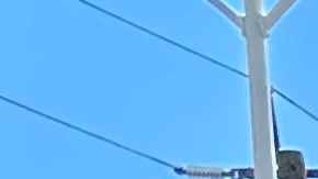 Trabajadores de la compañía Smart & Final ahora Chedraui demandan salarios justos al cambiar las tiendas de dueño. (Araceli Martínez/La Opinión)