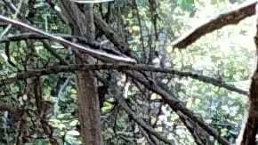 Marina en México descubre laboratorios clandestinos y decomisa metanfetamina valuada en 30 millones