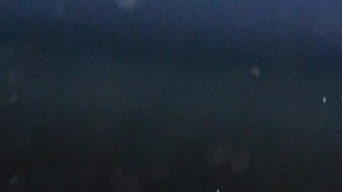 Luis Chávez será nuevo jugador del Dinamo de Moscú.