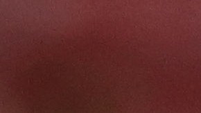 Dudamel no ha conseguido la primera victoria en su etapa con el Necaxa.