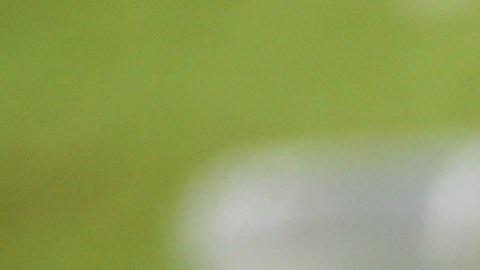 Sergio Canales de Rayados de Monterrey.