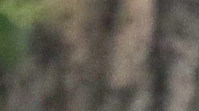 Kanye West y Bianca Cesnori paseando por DTLA.