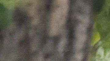 Kanye West y Bianca Cesnori paseando por DTLA.