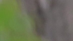 Kanye West y Bianca Censori de paseo por Europa.