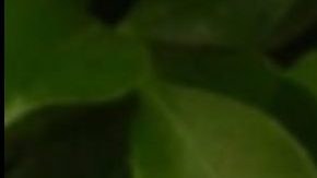 Karol G y Peso Pluma triunfan con QLONA.