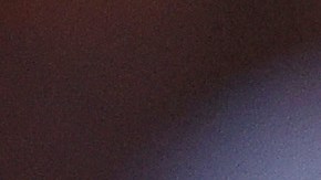 Logan Paul en los cuadriláteros de la lucha libre.