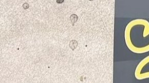 Michael Moreno (i) y Joseph Gómez (d) afuera de su negocio Mania Cards en Inglewood.