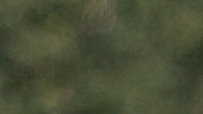 Milena Bertolini en entrenamiento con la Selección de Italia.