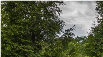 Nissan Pathfinder 2024