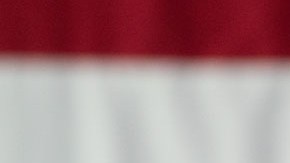 Ron DeSantis suspendió su campaña política para acceder a la candidatura republicana