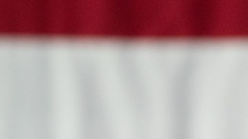Ron DeSantis suspendió su campaña política para acceder a la candidatura republicana