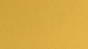 Salma Hayek y Zoe Saldaña en los Spike TV's Guys Choice 2015.